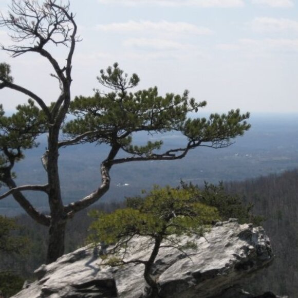 Meet your Posher - Picture 5 of 16